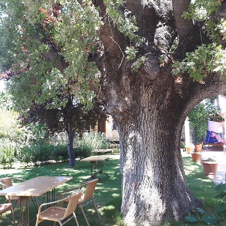 Oeren Konak Otel Екстериор снимка